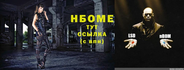 шишки Алексин