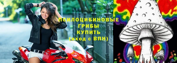 шишки Алексин