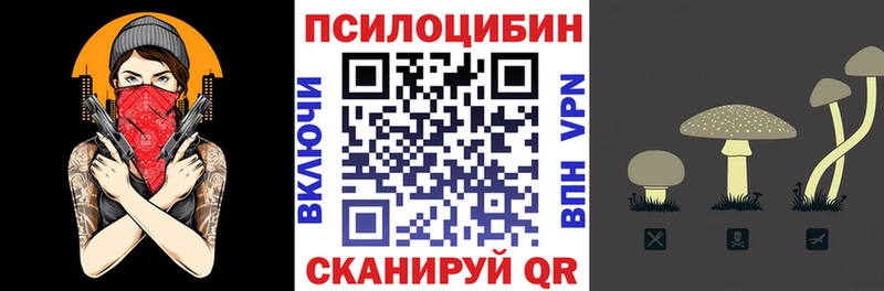 закладки  Змеиногорск  Псилоцибиновые грибы Psilocybe 